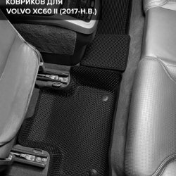 Второй ряд общий план