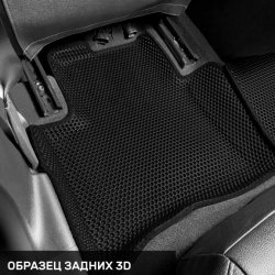 Левый пассажир