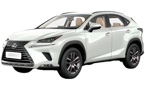 3D коврики EVA с бортами в салон на Lexus NX (2014-2021)